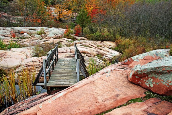 Chikanishing Trail Boardwalk I by Deb Oppermann